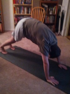 It seems my downward facing dog.. Isn't very downward facing dog-like.