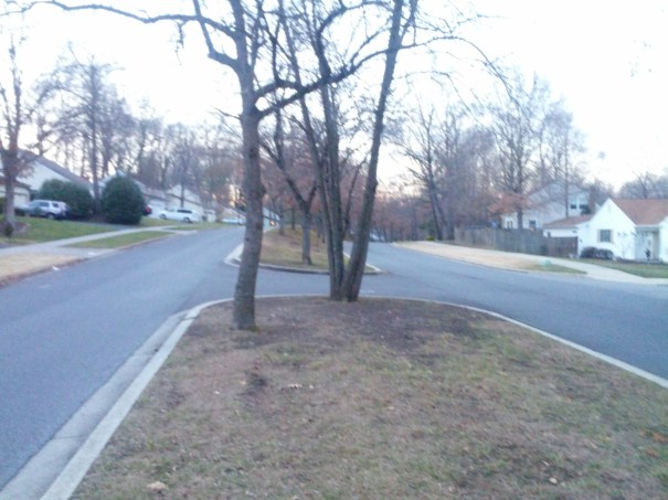 The Camera isn't angled.One side went up higher, then came down and met the other. Guess what side I ran?