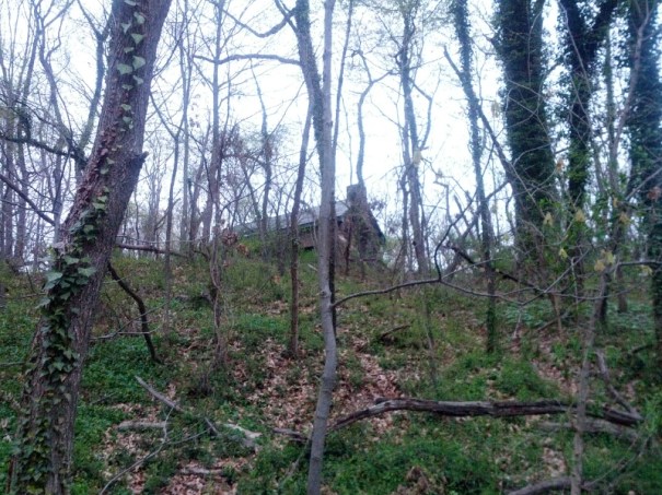 This little house was up on a hill as I left the park. Hard to believe its in the city!