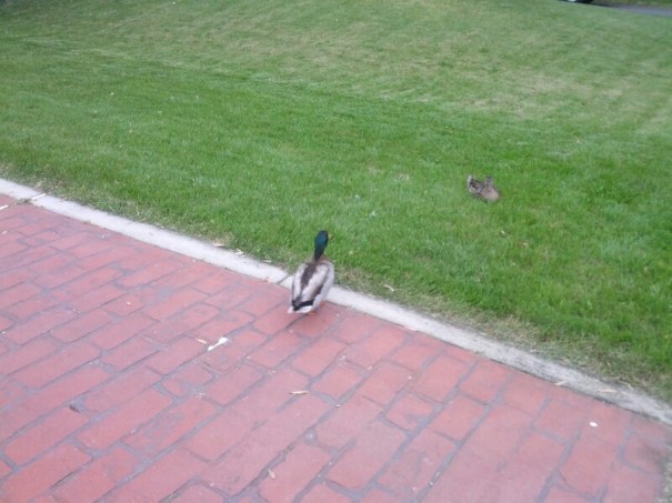 runtastic2013-05-14_19_40_51