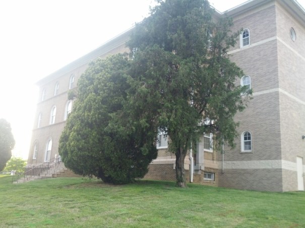 runtastic2013-05-15_19_18_52