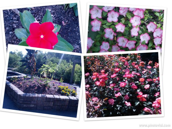 adeb1724-6a16-4eef-9d0a-fe4a77a2c7c2wallpaper