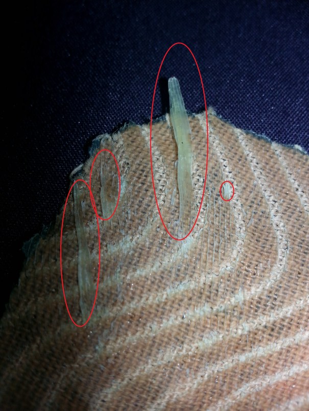 Skin left on the tape after I pulled it off